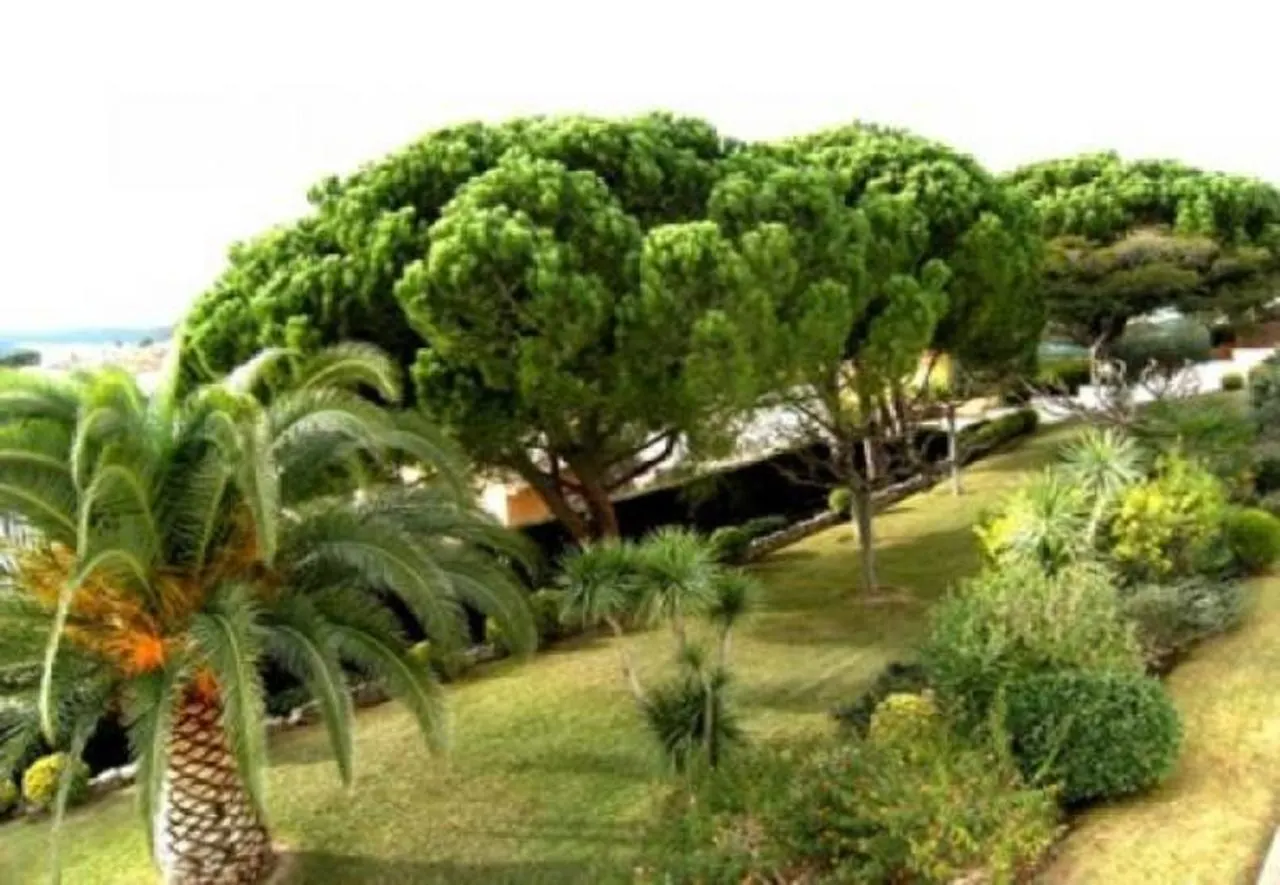 Apartmán Apartamentos Santa Anna L' Escala